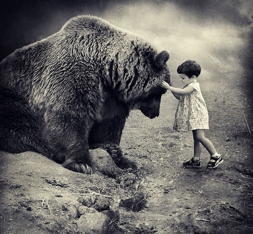 Макс Лапшин | Пенза