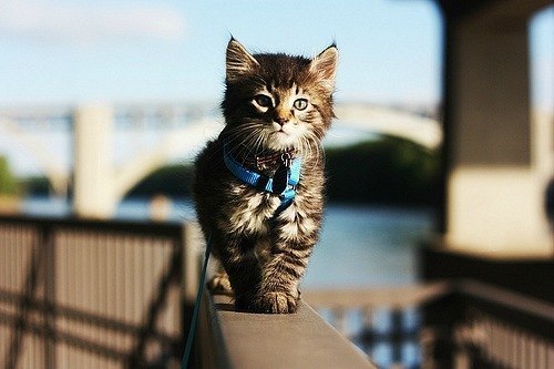 Румия Зумагулова | Магнитогорск