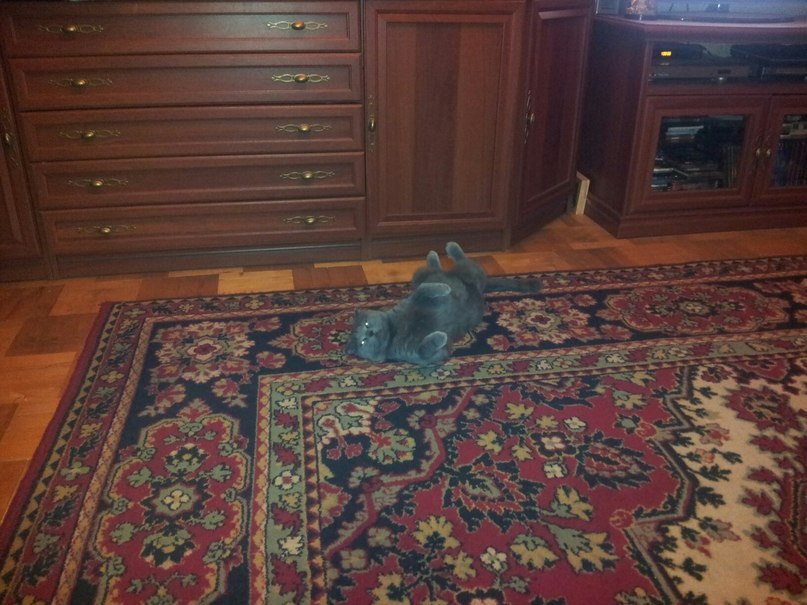 Борис Швецов | Москва