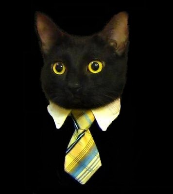 Владислав Лебедев | Санкт-Петербург