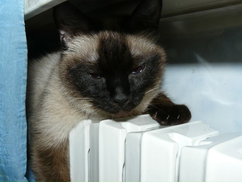 №81, Анастасия Жукова, 34 года, Одесса №81, Анастасия Жукова, 34 года, Одесса