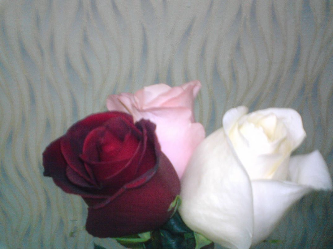 Сергей Варников Георгиевич | Ростов-на-Дону