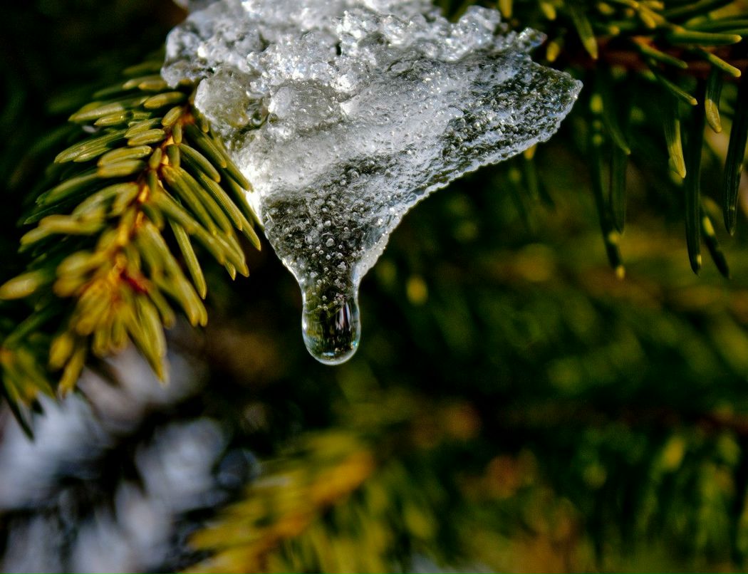 Валентин Великий Валерьевич | Киев