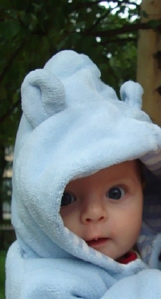 №115, Антон Губерт, Санкт-Петербург, Россия №115, Антон Губерт, Санкт-Петербург, Россия