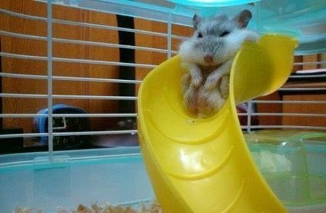 №68, Марічка Свистович, 30 лет №68, Марічка Свистович, 30 лет