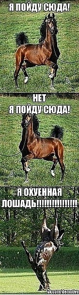 Анастасия Димант ♔  Викторовна ♕ | Москва