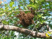 №2, Евгений Старчевский, 1.11.1989, 36 лет, Красноярск, Россия