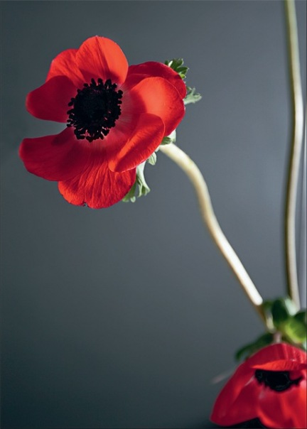 №4, Рената Минченко-Чиркова, 41 год, Воронеж, Россия №4, Рената Минченко-Чиркова, 41 год, Воронеж, Россия