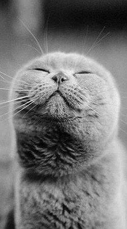 Максим Μерзляков | 