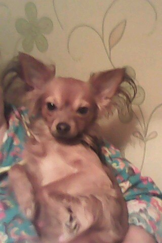 Людмила Авдышева | Санкт-Петербург