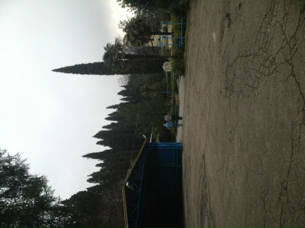 №20, Андрей Цыбулька №20, Андрей Цыбулька