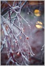 №25 Наталья Токарева