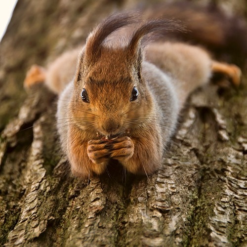 №1, Елена Сорокина, 35 лет, Kuta Selatan №1, Елена Сорокина, 35 лет, Kuta Selatan