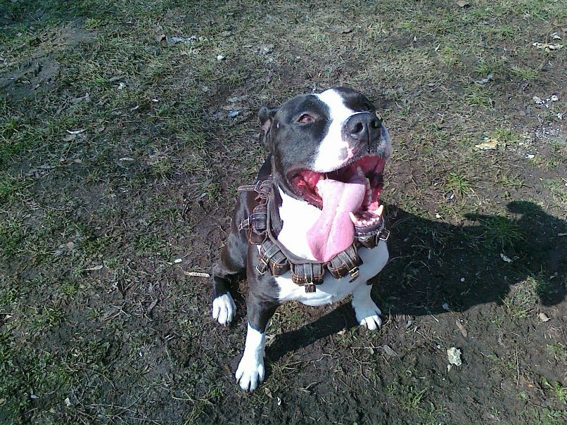 Юрий Пирогов | Черкассы