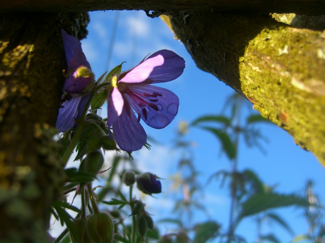 Анна Канарейкина | Подольск