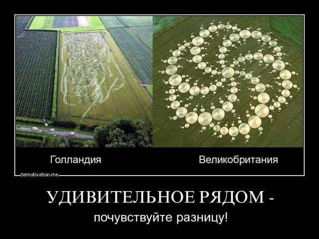 Сергей Рогушин | 