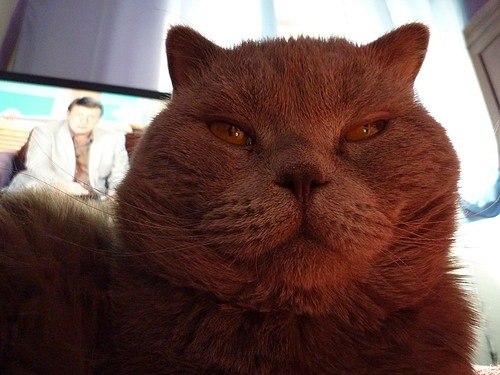 Сергей Иванов | Краснодар