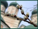Марина Анатольева, , 23.11