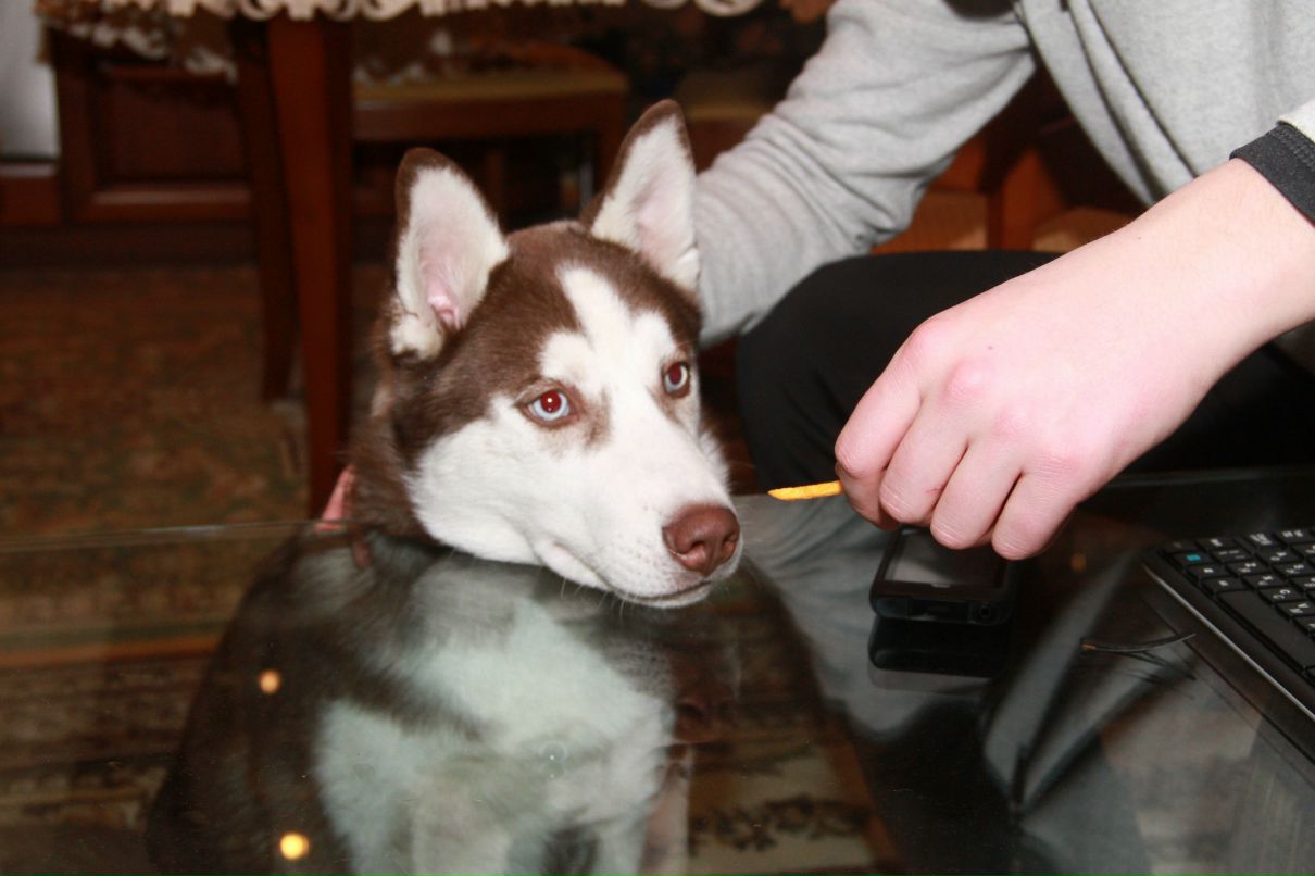 Baybakova Maria | Санкт-Петербург