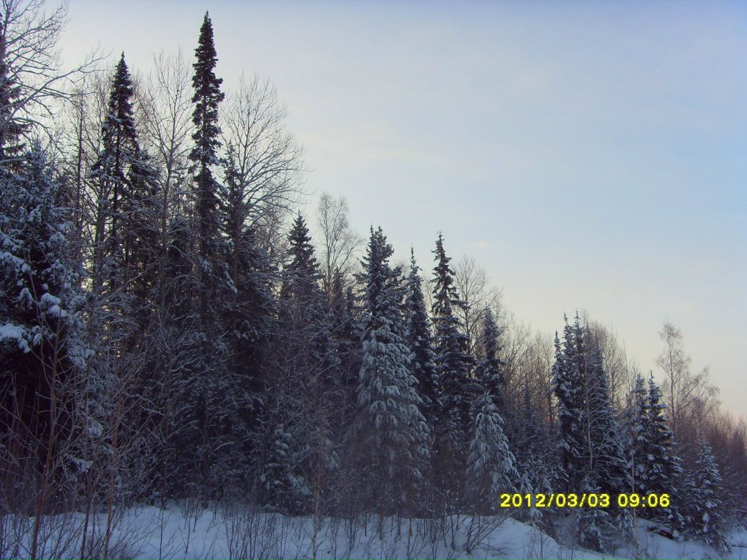 Константин Софронов | 