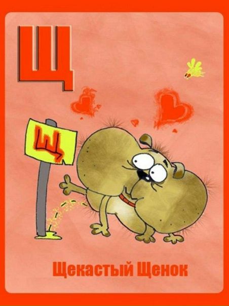 №66, Екатерина Галаган, Toronto №66, Екатерина Галаган, Toronto