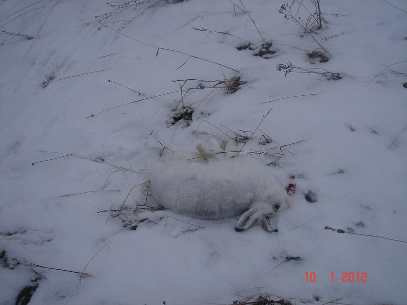 Иван Карамышев | 