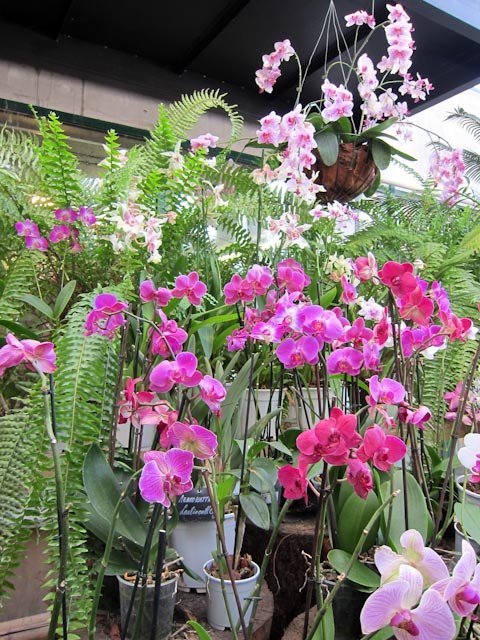 Анастасия Цветкова | Москва