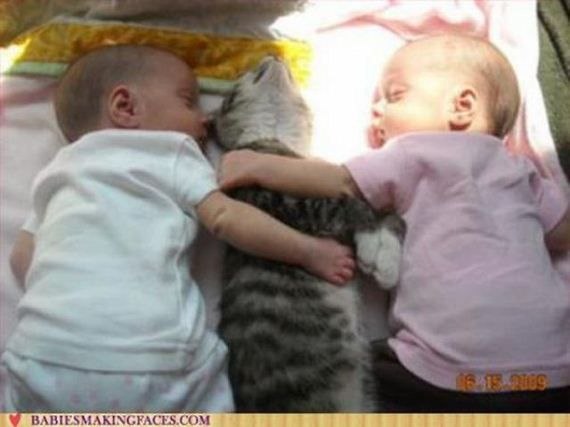 Сергей Капустин | Plymouth