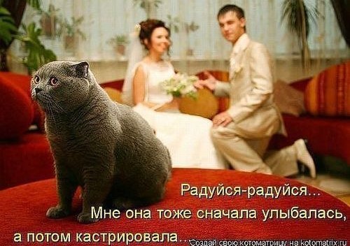 №20, Алексей Закиров, 34 года, Санкт-Петербург №20, Алексей Закиров, 34 года, Санкт-Петербург