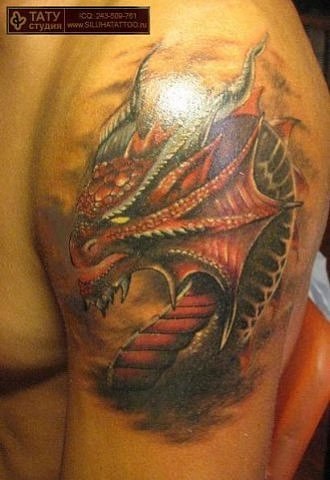 Дмитрий Беседин | Сочи