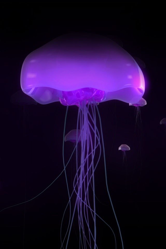 Monika Kiss | Москва