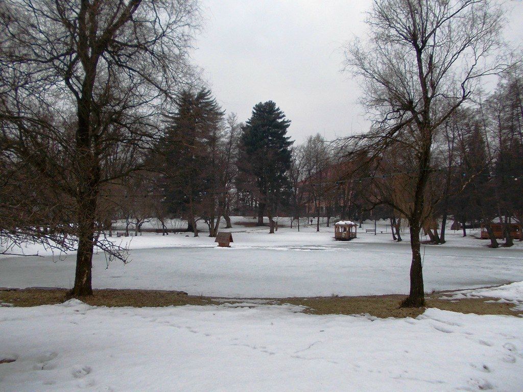 Виктория Музычук | Ковель