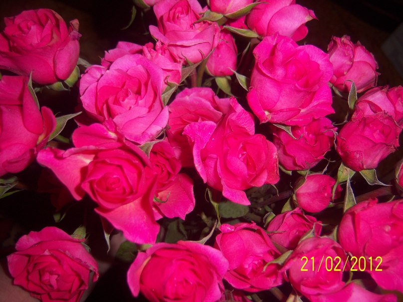 Яна Сандул | Набережные Челны