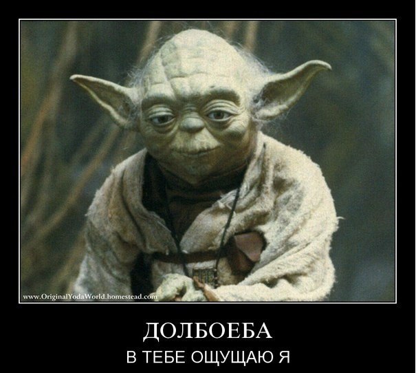 Богдан Деребан | Kingston