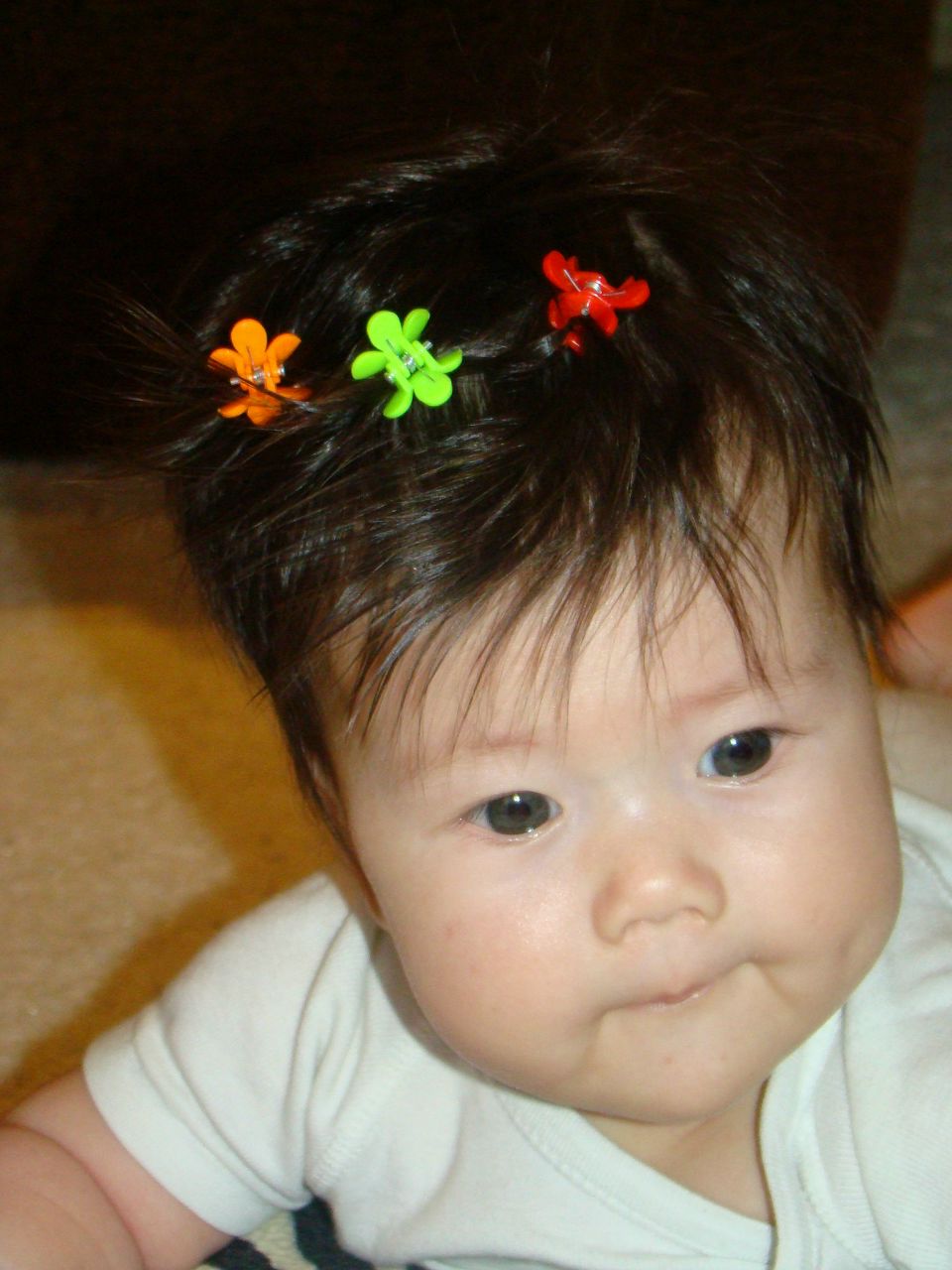 Дмитрий Шин | Луга