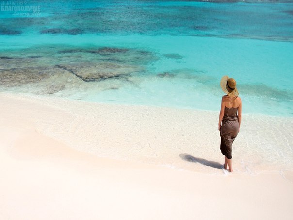 Марта Шумега | 