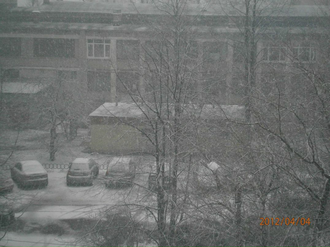 Маргарита Фомичёва Лисса | Санкт-Петербург