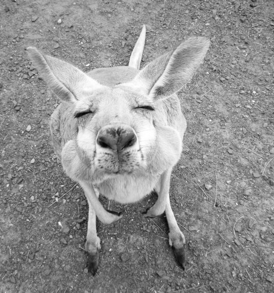 Lena Sheshukova | Одесса