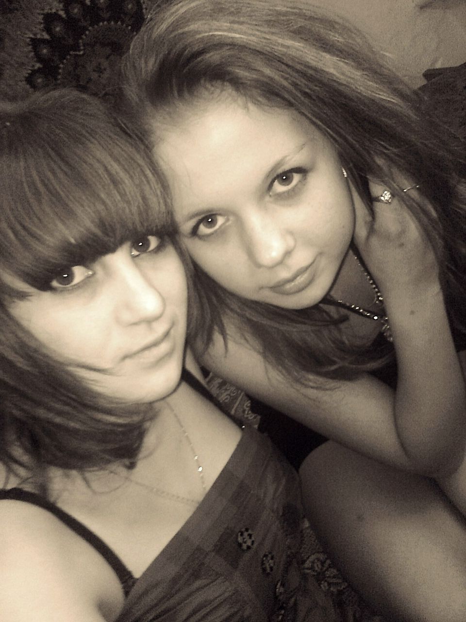 Олена Швек | Кортелесы