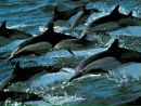 №14 Алексия Неизвестная 18.04.1984: профиль, фото, статус - ВКонтакте №14 Алексия Неизвестная 18.04.1984: профиль, фото, статус - ВКонтакте