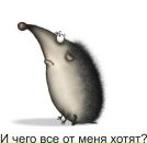 №16, Наташа Брусынина, 13.2.1990, 36 лет, Москва, Россия