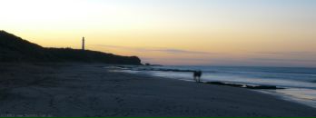 №6, Даша Гусева, 17.4.1987, 38 лет, Sydney, Австралия