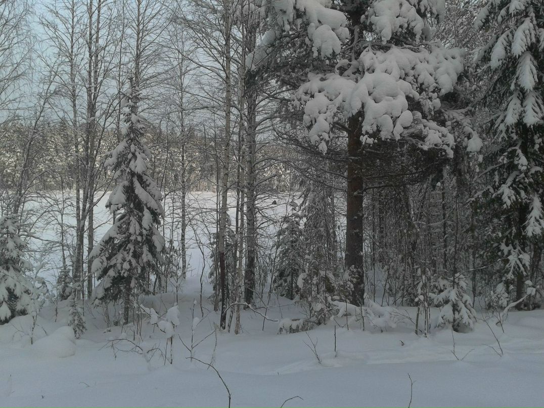 Сергей Глушко | 