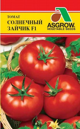 Антон Болотин revived! | Tegucigalpa