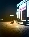 Фотография Васюковой Светы