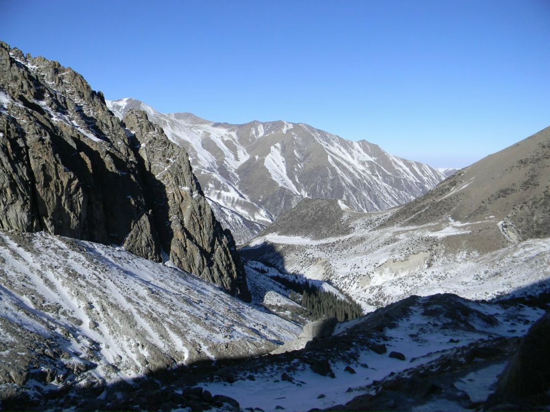 Паша Цветов | 