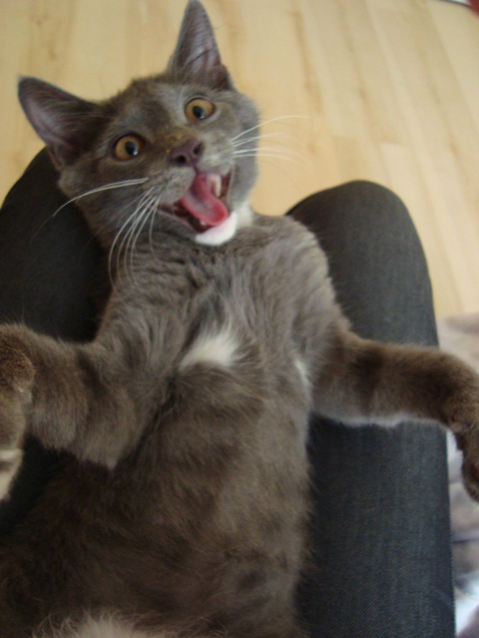 Марина Березина | 