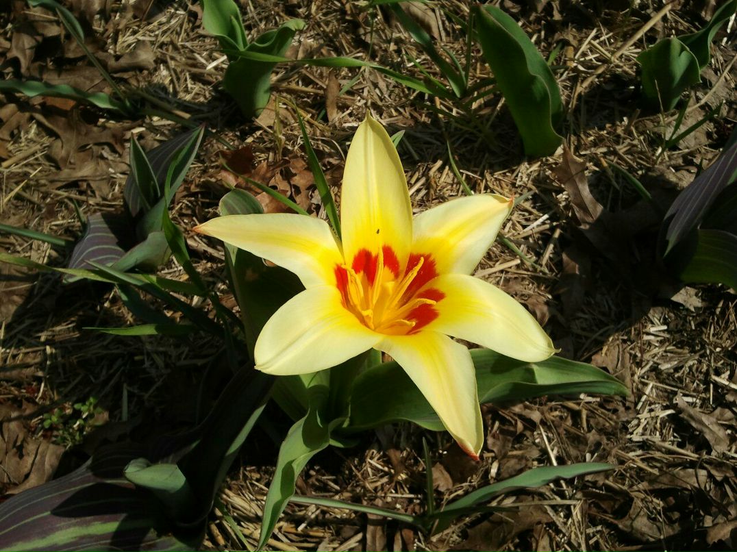 Игорь Панов | Santo Domingo