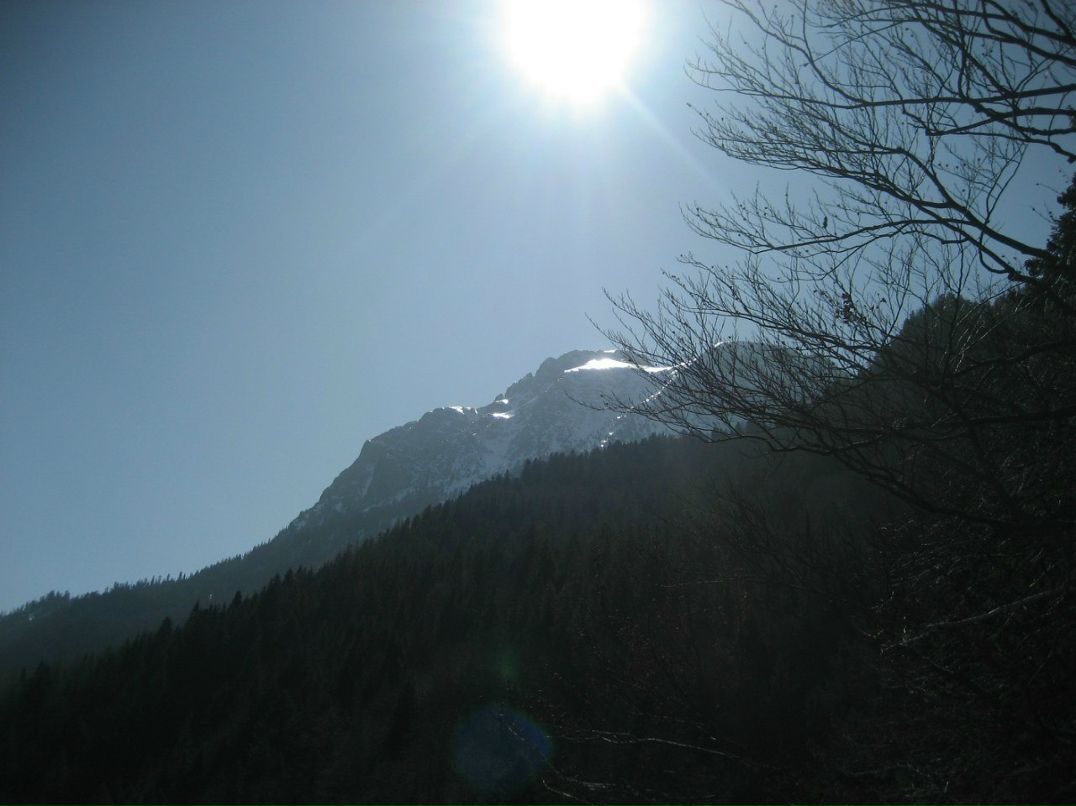 Роман Реут | Красноярск