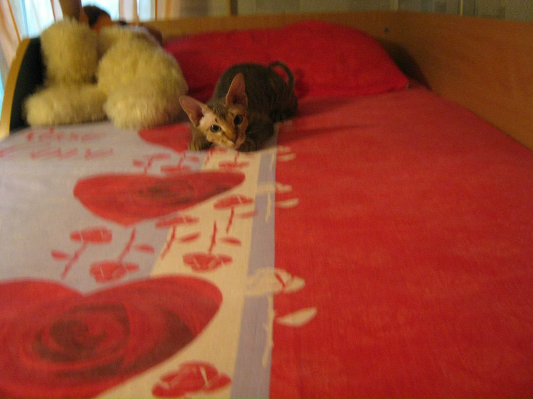 Наталья Загуляева | 